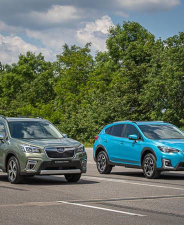 Forester and XV_low-004-23446